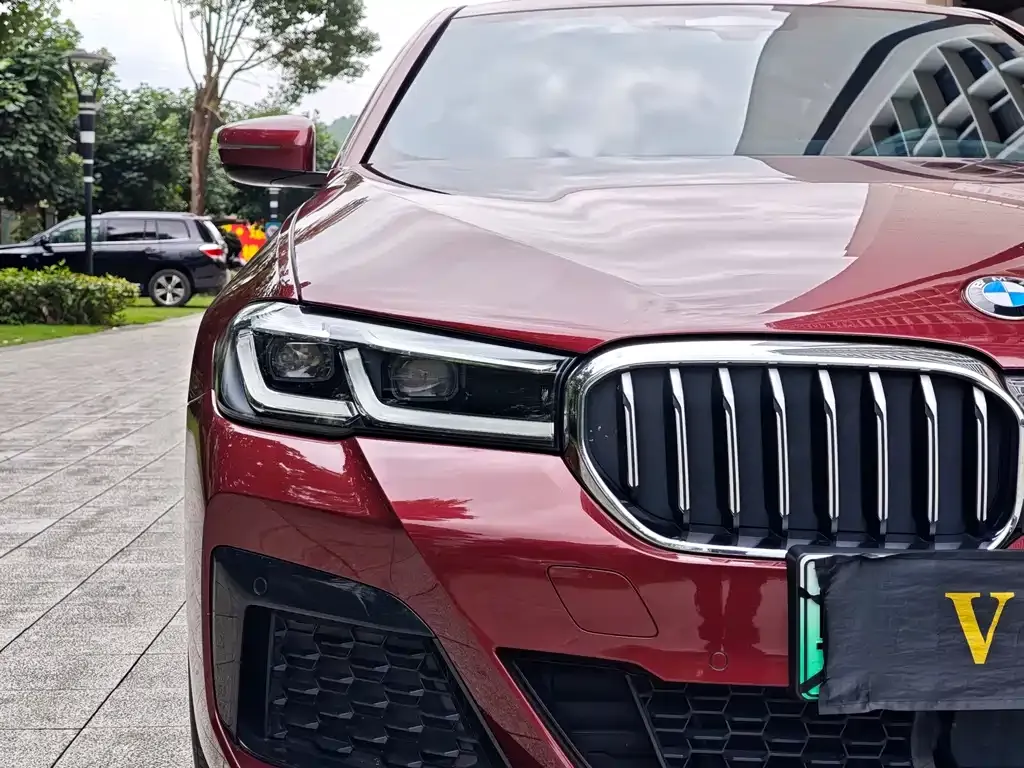 BMW 5 Series New Energy 2021 из CN, фото 8