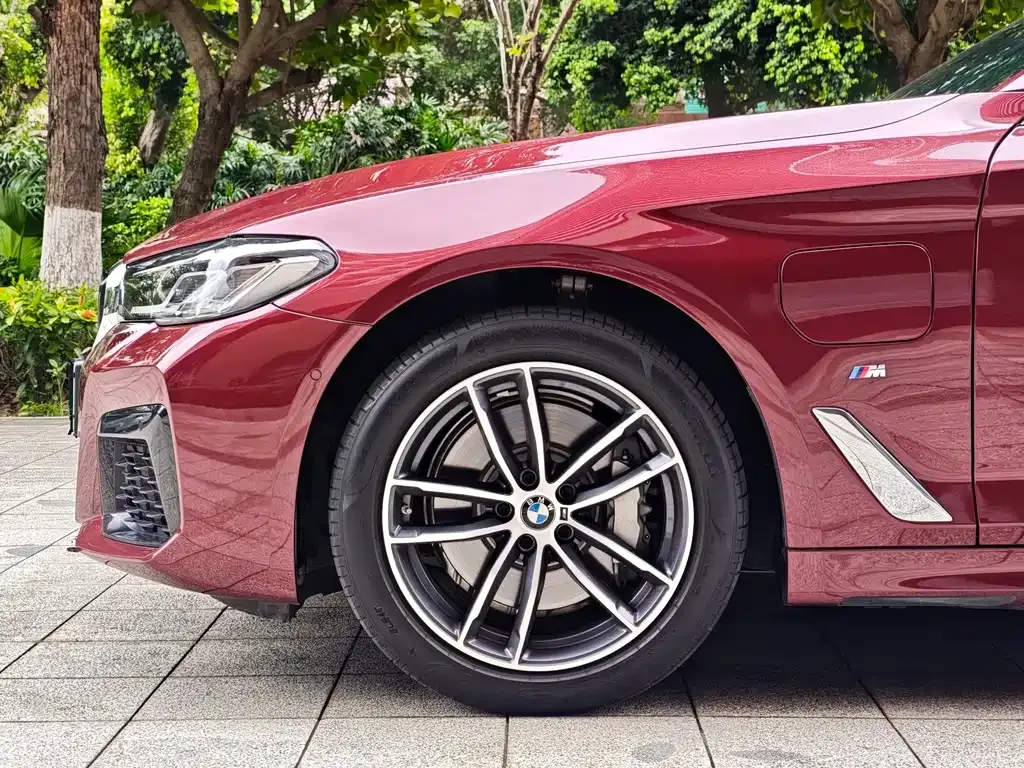 BMW 5 Series New Energy 2021 из CN, фото 9