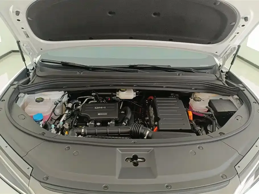 BYD L DM-i 2024 из CN, фото 10