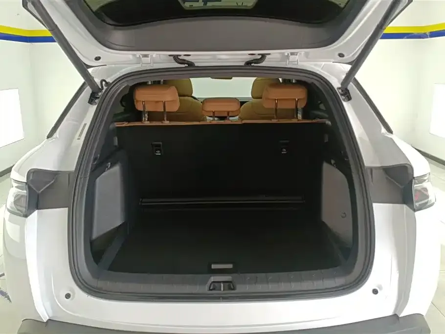 BYD L DM-i 2024 из CN, фото 5
