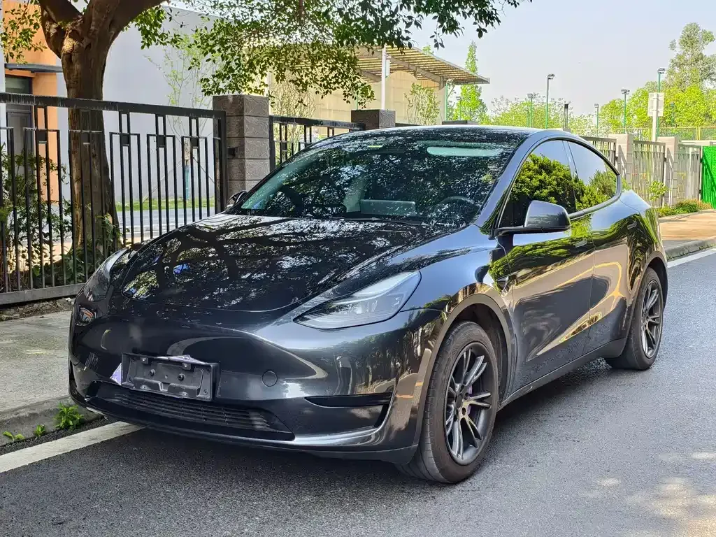 Tesla Model Y 2024 из CN, фото 1