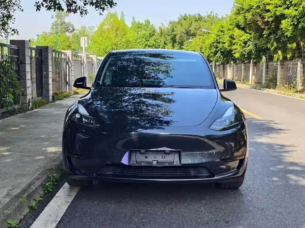 Tesla Model Y 2024 из CN, фото 5