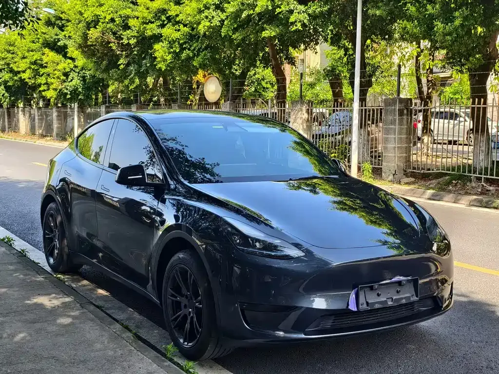 Tesla Model Y 2024 из CN, фото 7