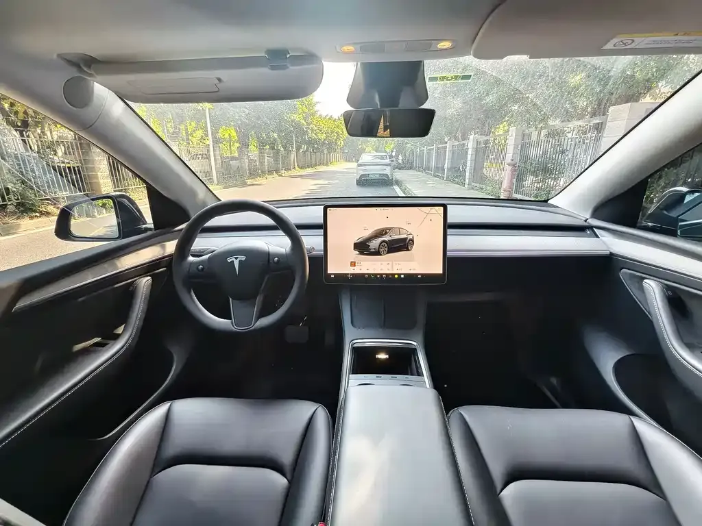 Tesla Model Y 2024 из CN, фото 6