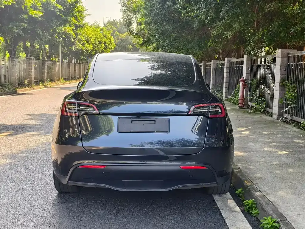 Tesla Model Y 2024 из CN, фото 4