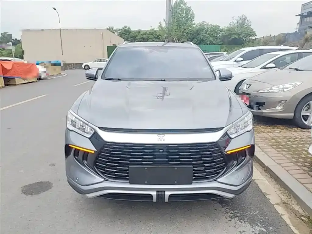 BYD Pro New Energy 2024 из CN, фото 2