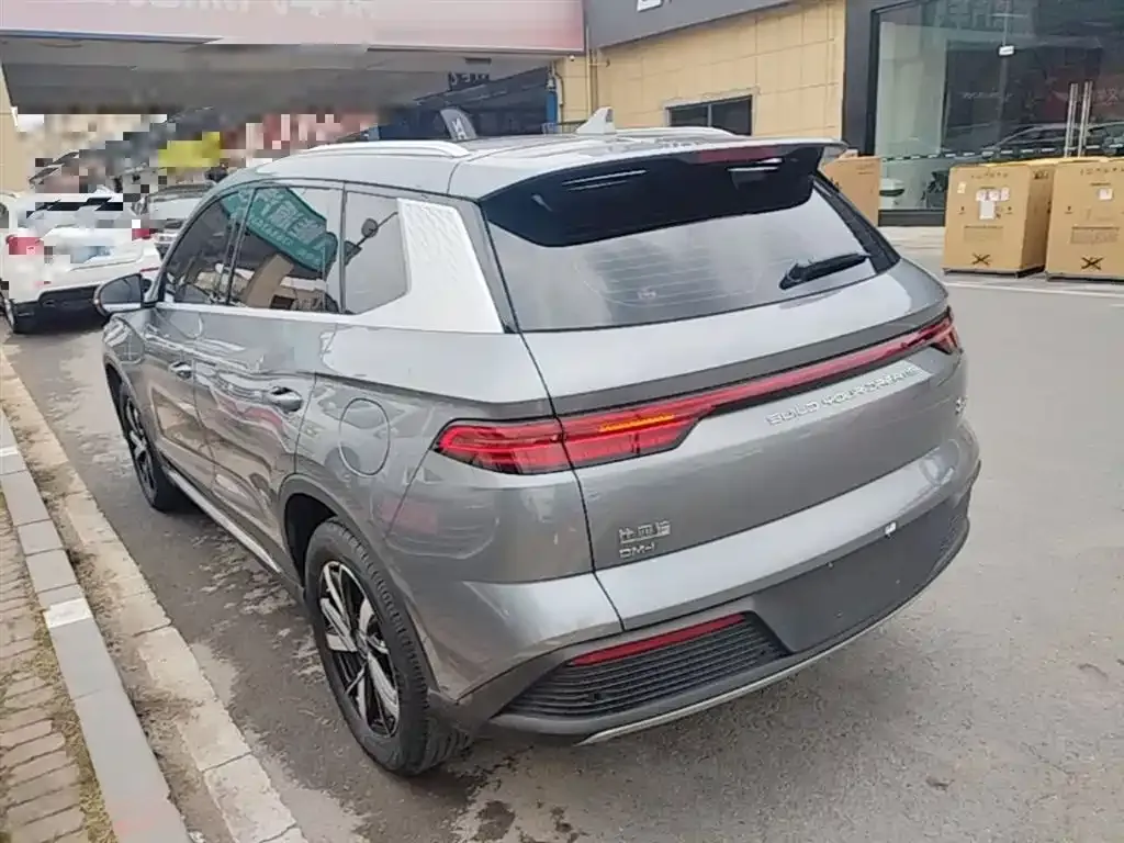 BYD Pro New Energy 2024 из CN, фото 6