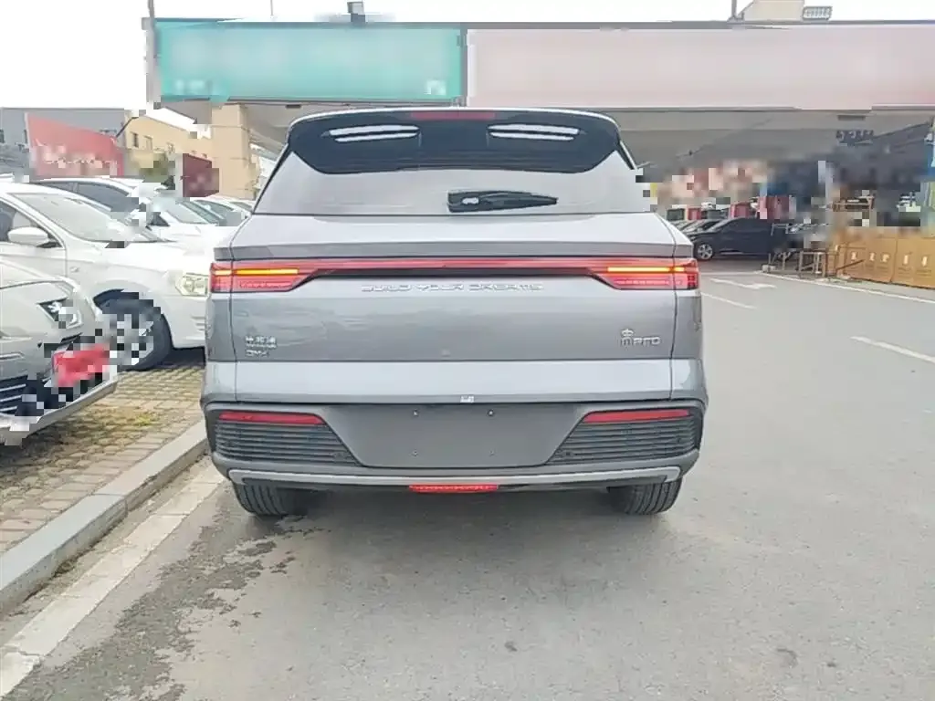 BYD Pro New Energy 2024 из CN, фото 3