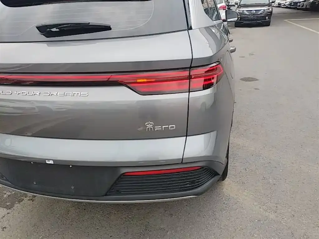 BYD Pro New Energy 2024 из CN, фото 7
