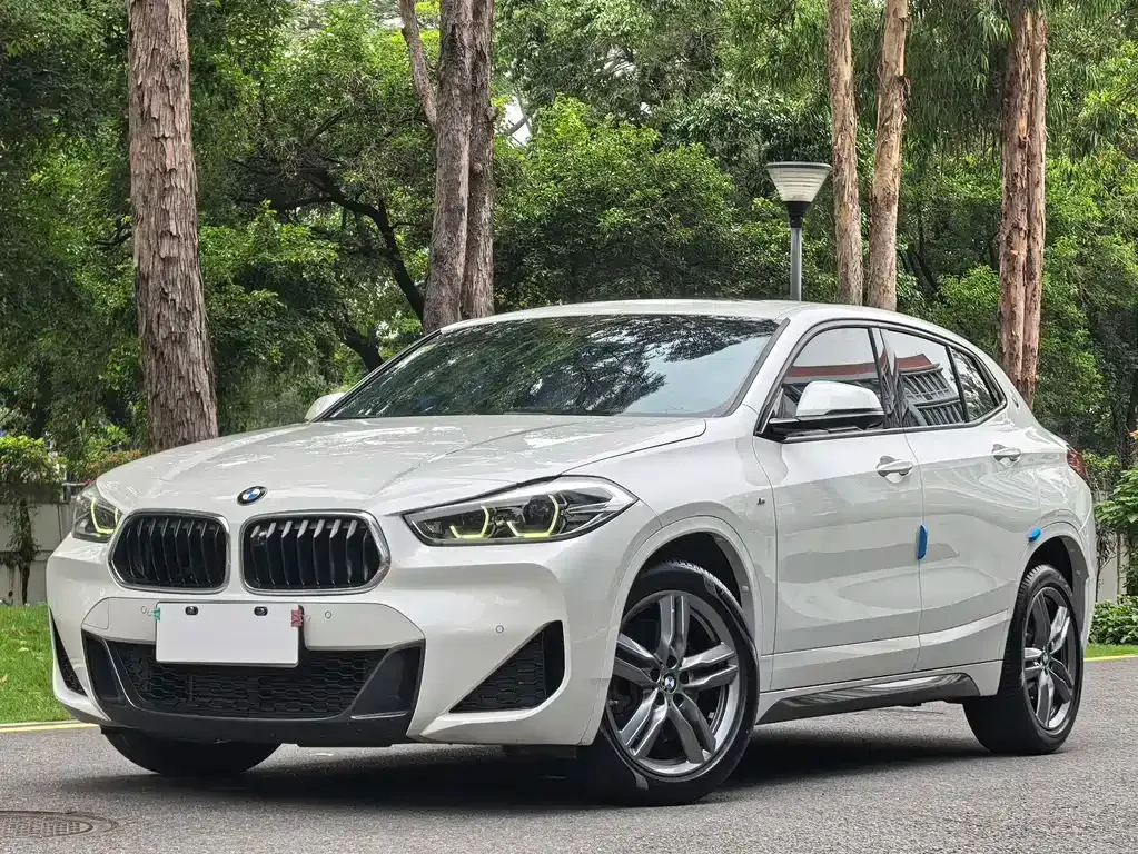 BMW X2 2021 из CN, фото 1