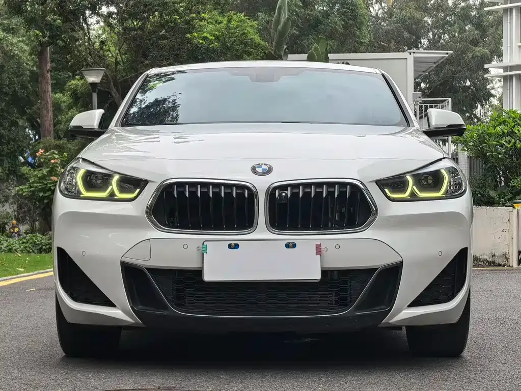 BMW X2 2021 из CN, фото 7