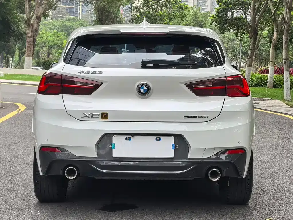 BMW X2 2021 из CN, фото 3
