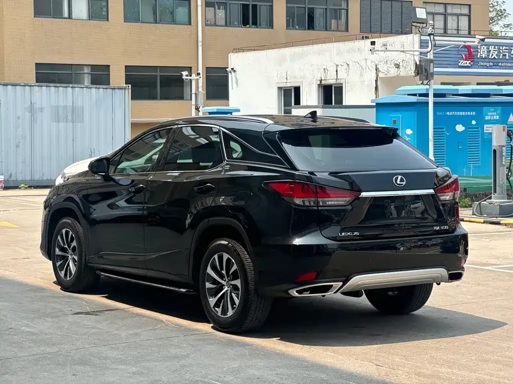 Lexus RX — фото 8