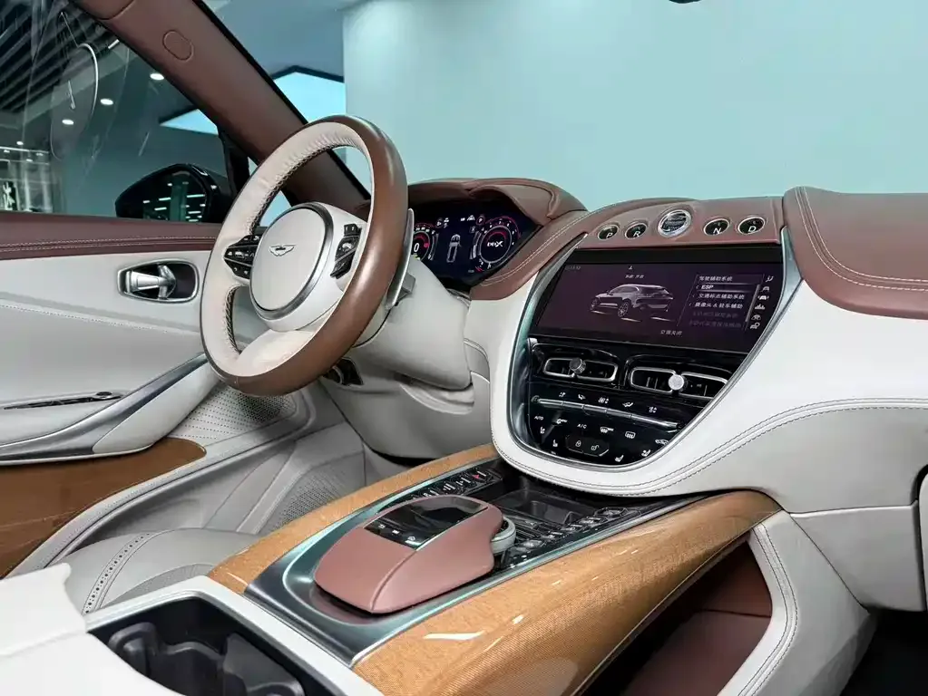 Aston Martin DBX 2022 из CN, фото 7