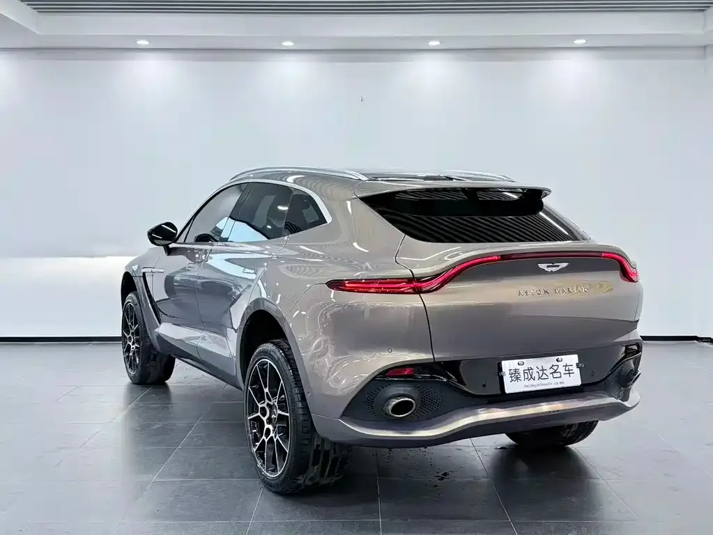 Aston Martin DBX 2022 из CN, фото 8
