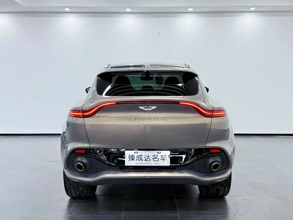 Aston Martin DBX 2022 из CN, фото 6