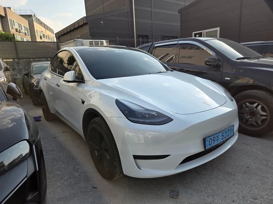 Tesla Model Y — фото 7