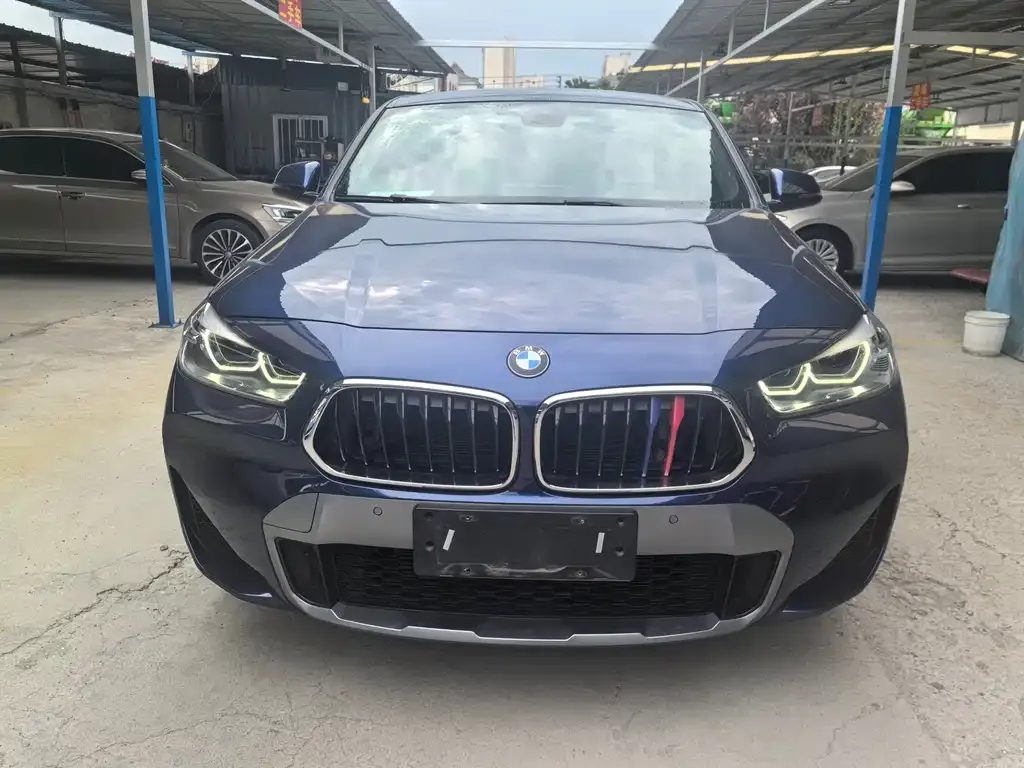 BMW X2 2021 из CN, фото 3
