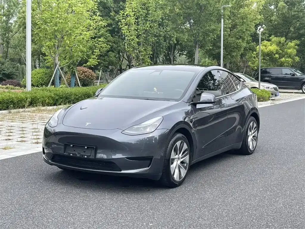 Tesla Model Y — фото 1