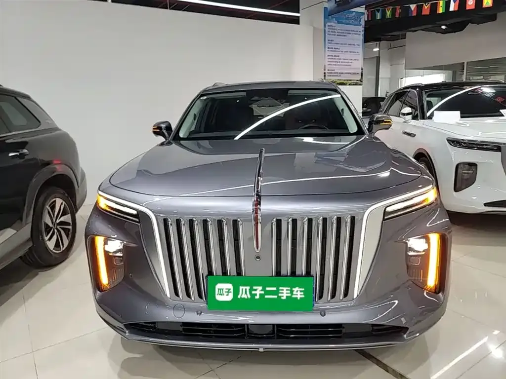 Hongqi E-HS9 — фото 9