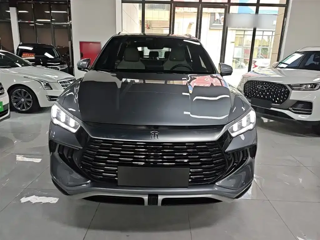 BYD Pro New Energy — фото 4