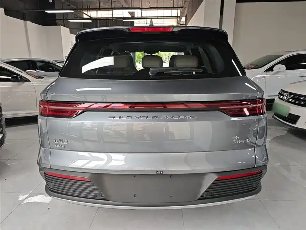 BYD Pro New Energy — фото 8