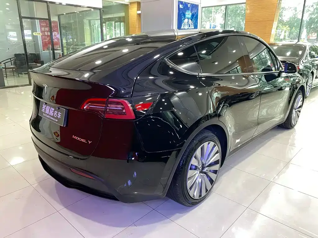 Tesla Model Y — фото 3