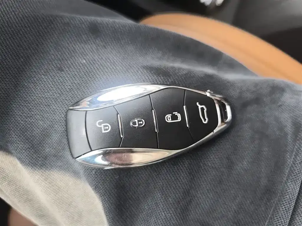Hongqi HQ9 PHEV 2025 из CN, фото 6