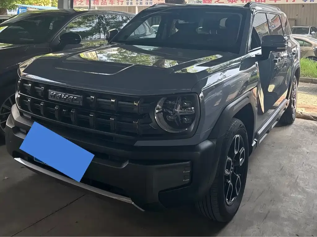 Haval Cool Dog 2022 из CN, фото 1