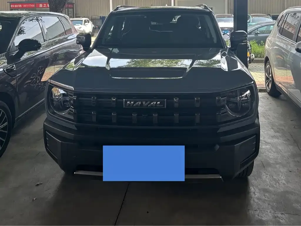 Haval Cool Dog 2022 из CN, фото 8