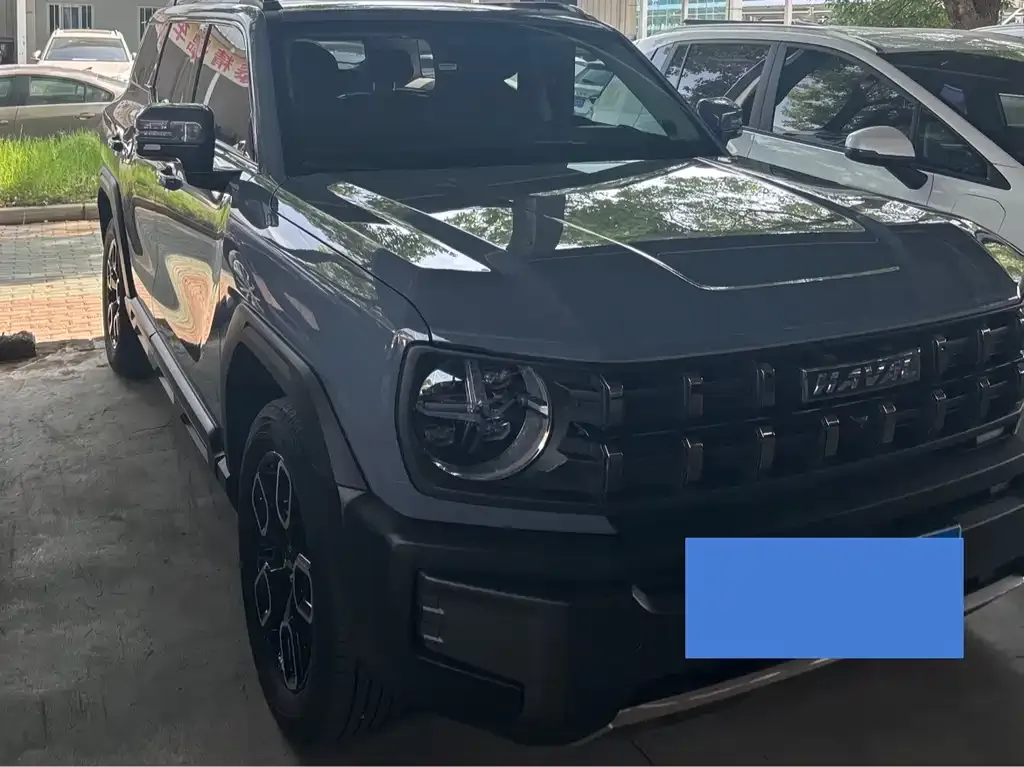 Haval Cool Dog 2022 из CN, фото 4