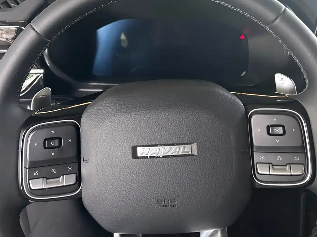 Haval Cool Dog 2022 из CN, фото 7