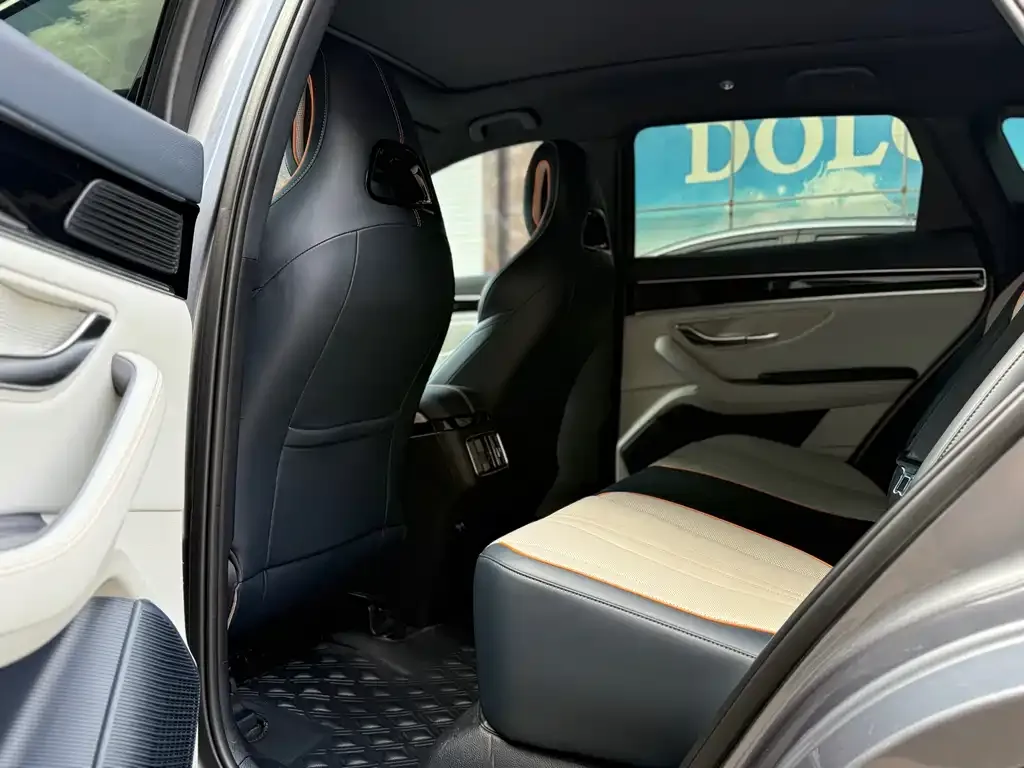 BYD PLUS New Energy 2024 из CN, фото 2