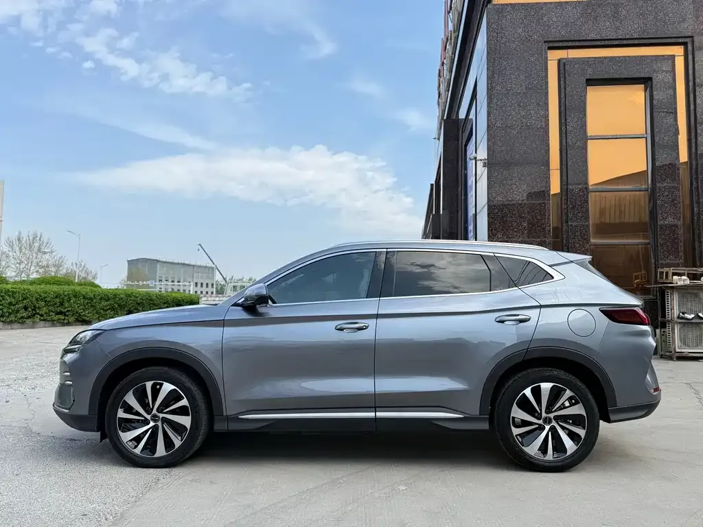 BYD PLUS New Energy 2024 из CN, фото 10