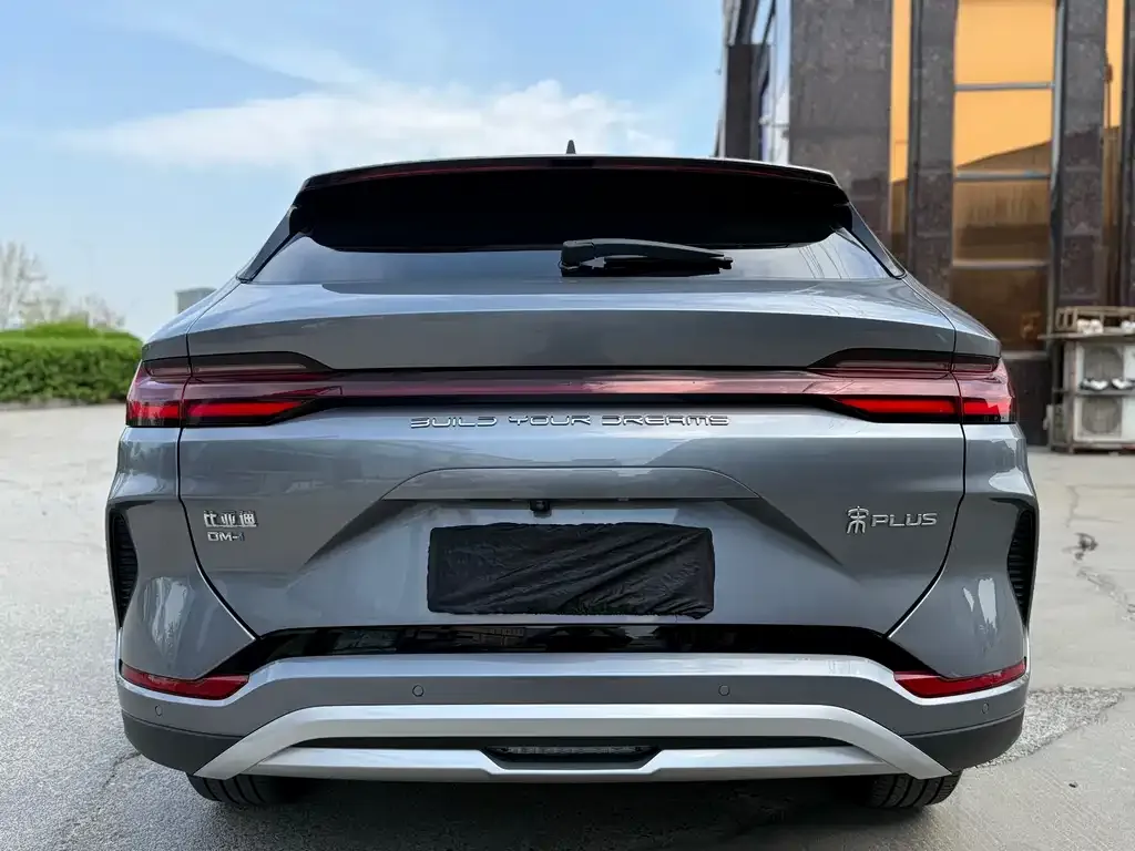 BYD PLUS New Energy 2024 из CN, фото 4