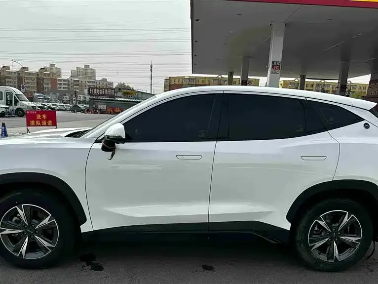 Jetour Dasheng 2023 из CN, фото 2