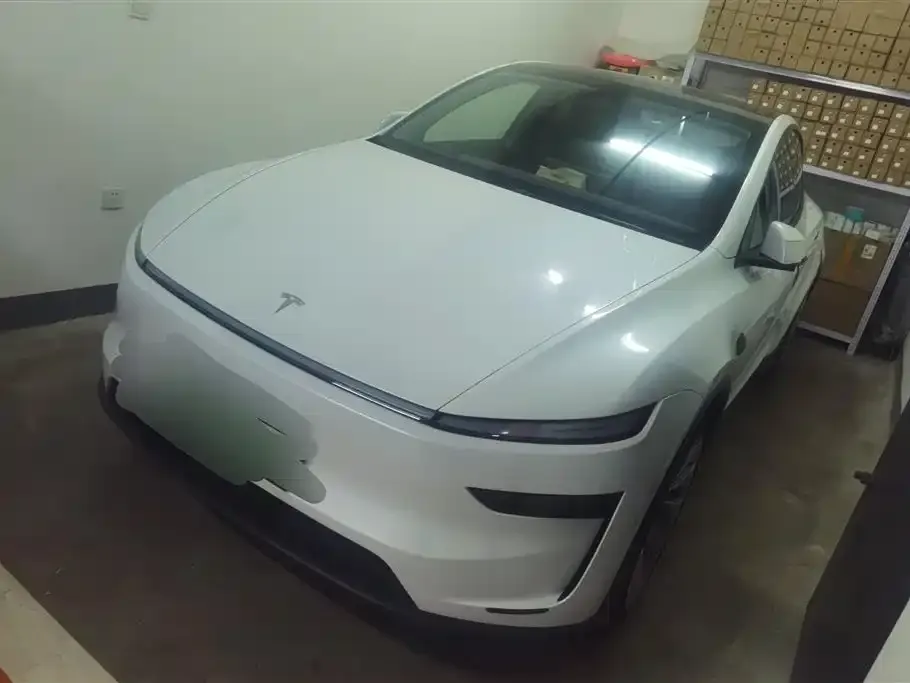 Tesla Model Y — фото 1