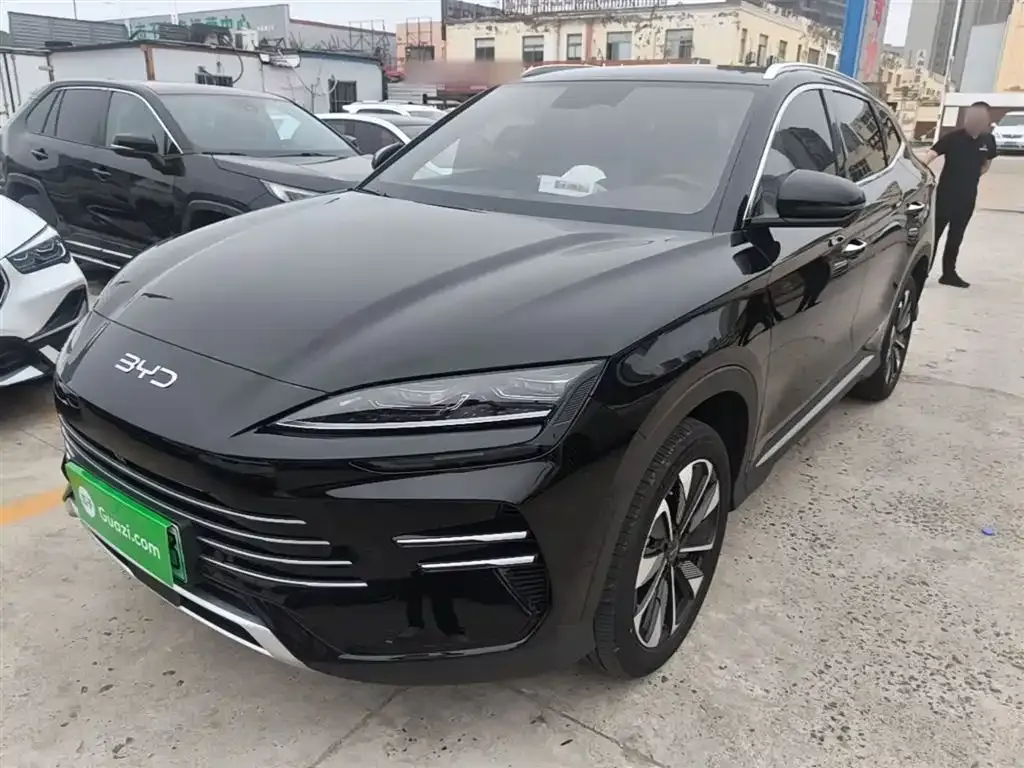 BYD PLUS New Energy — фото 6