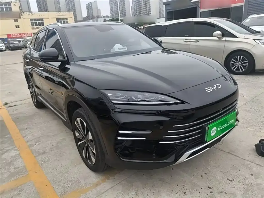 BYD PLUS New Energy — фото 5