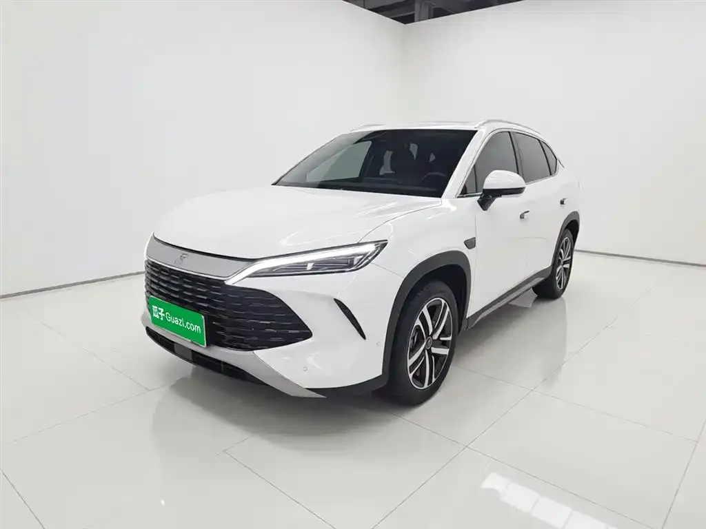 BYD L DM-i