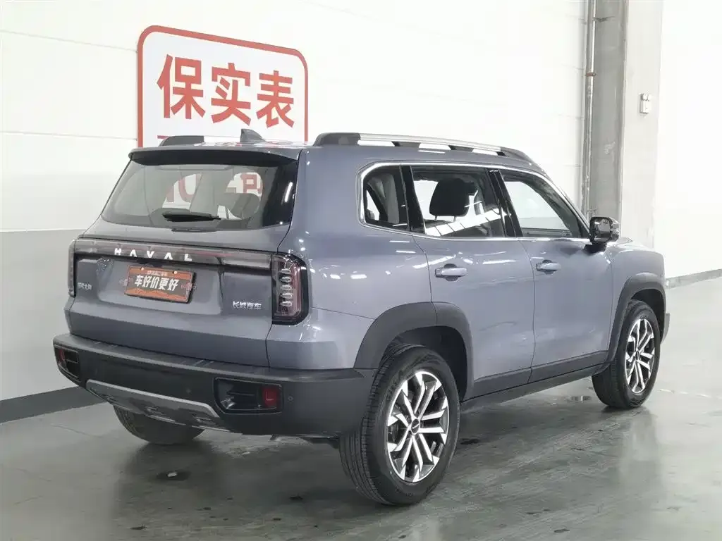 Haval Big Dog 2024 из CN, фото 6
