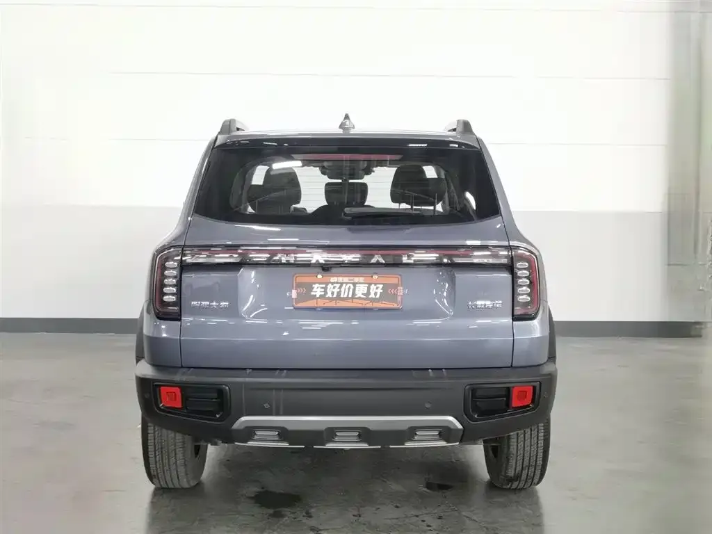 Haval Big Dog 2024 из CN, фото 2