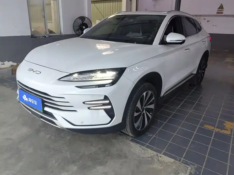 BYD PLUS New Energy — фото 1