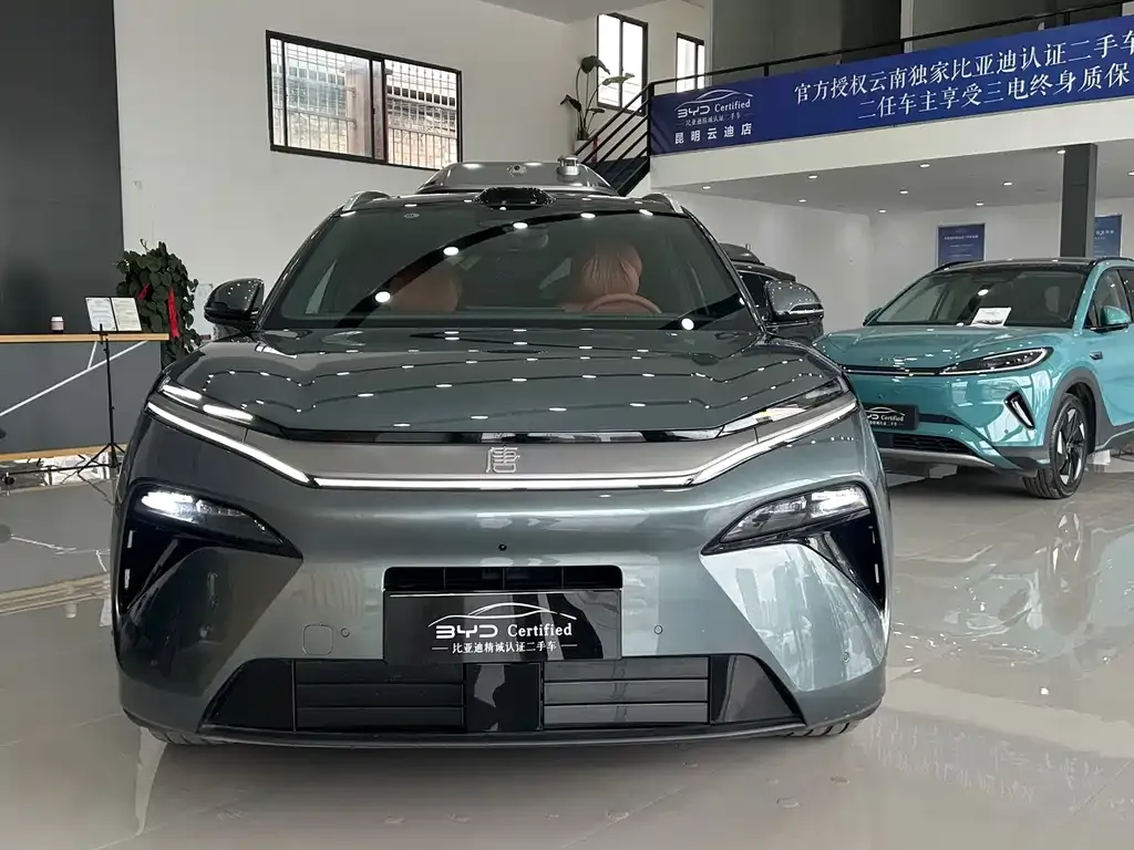 BYD Tang L 2025 из CN, фото 4