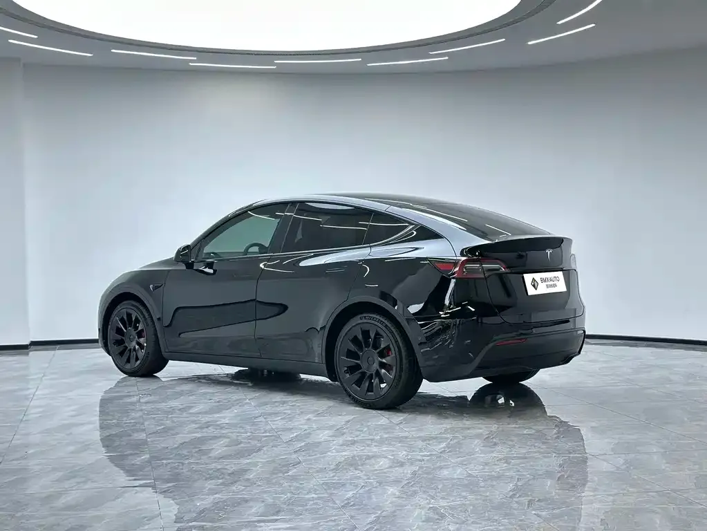 Tesla Model Y — фото 7