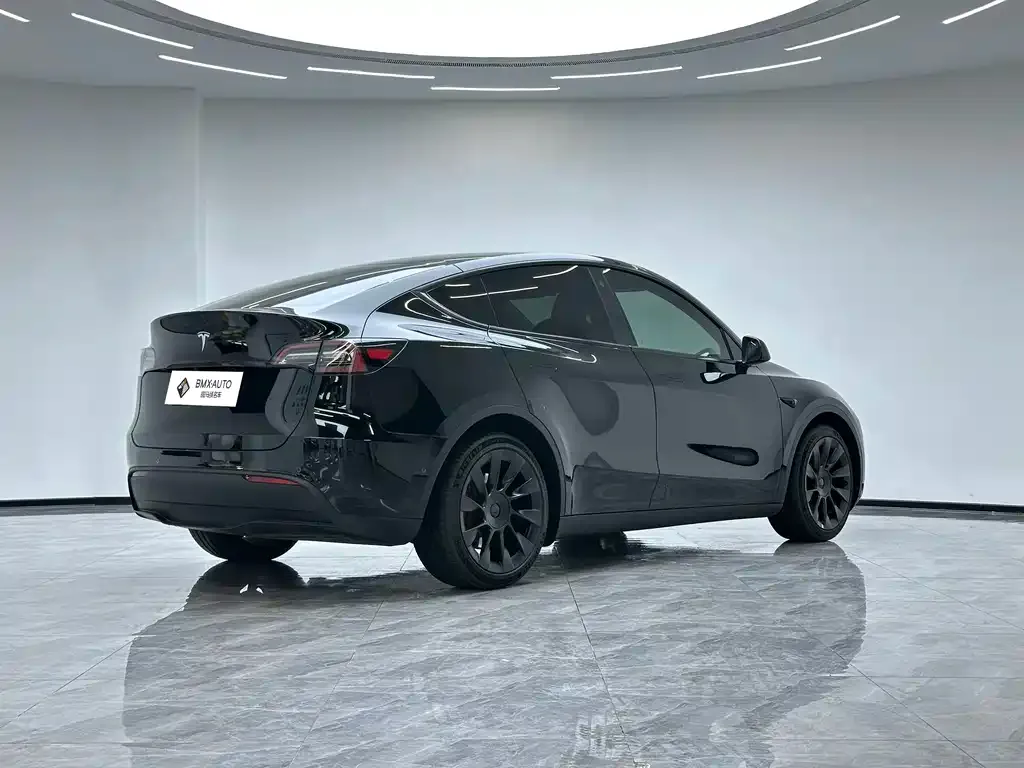 Tesla Model Y — фото 10