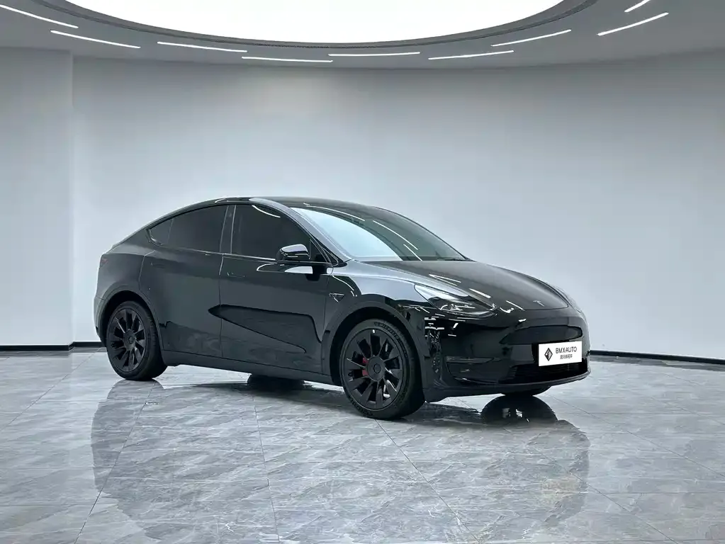 Tesla Model Y — фото 4