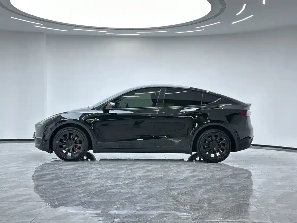 Tesla Model Y — фото 5