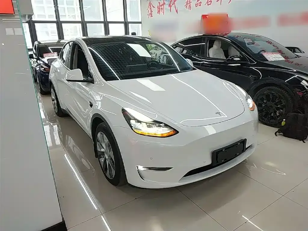 Tesla Model Y — фото 3