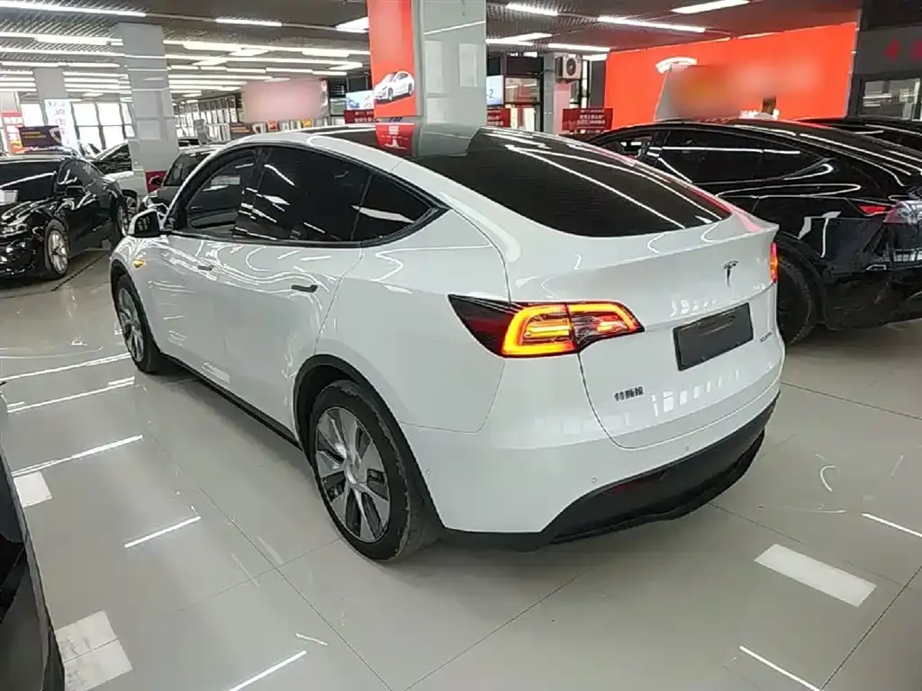 Tesla Model Y — фото 9